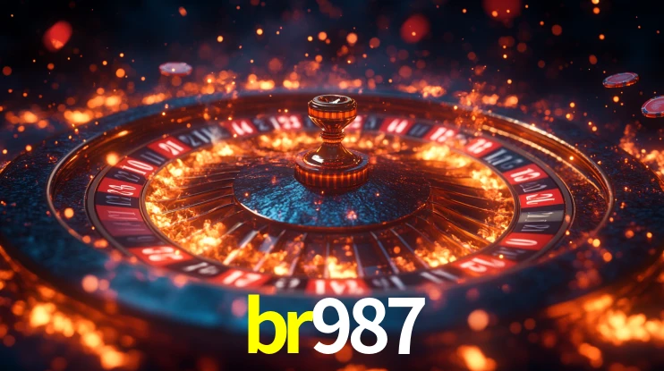 Premium Interface br987